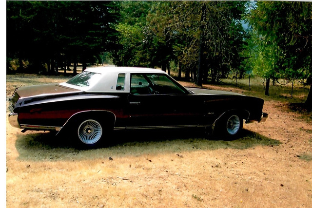1973 Chevrolet Monte Carlo  photo