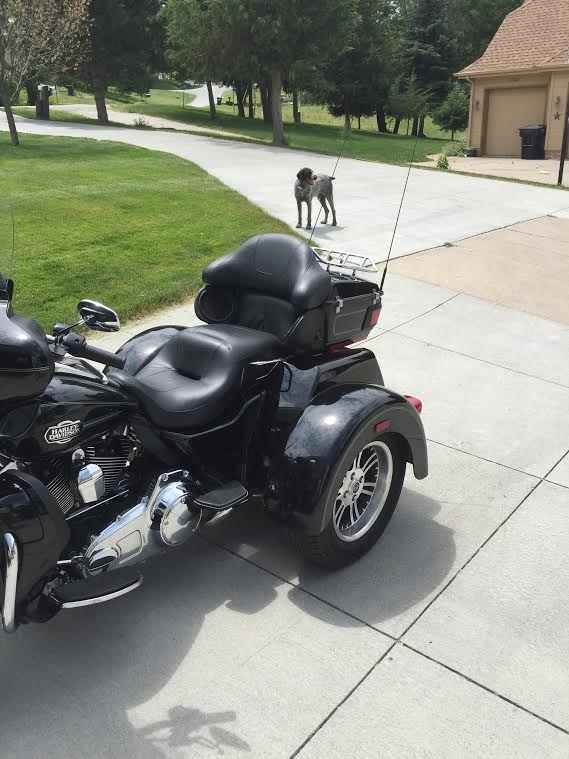 Buy 2013 Harley-Davidson Trike on 2040-motos