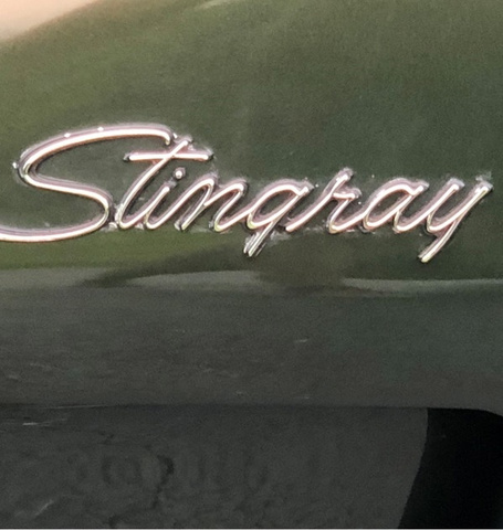1974 Chevrolet Corvette stingray  photo