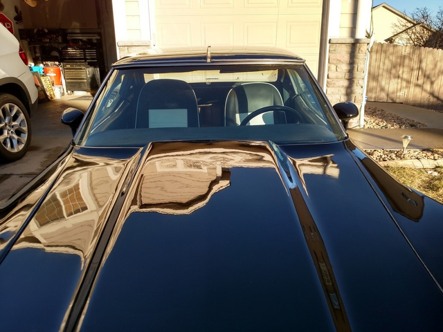 1977 Chevrolet Corvette stingray  photo