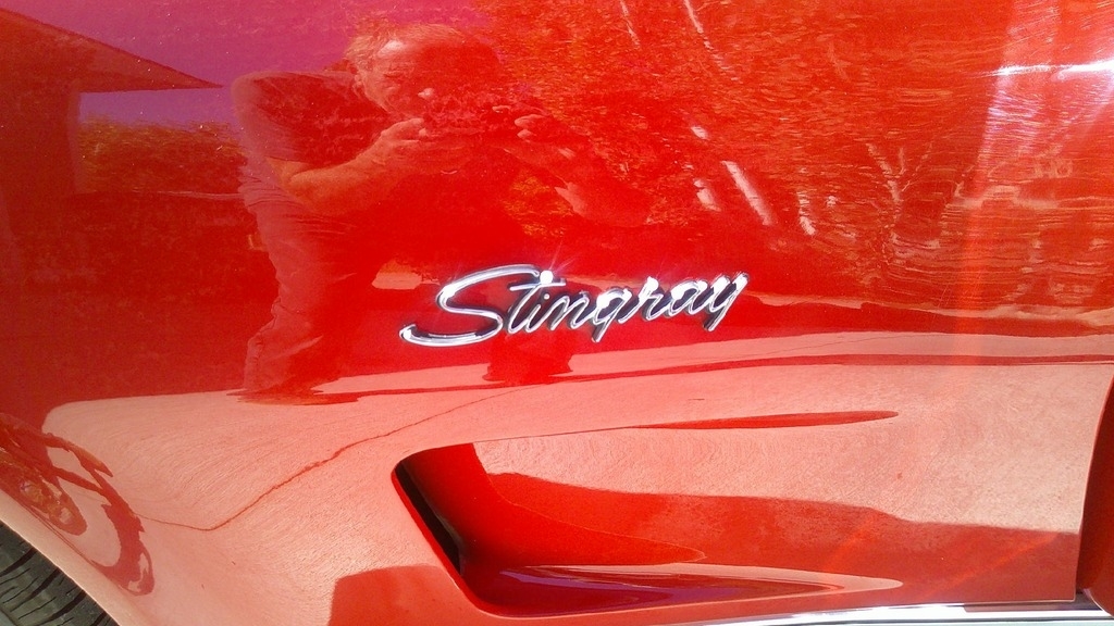 1973 Chevrolet Corvette Stingray photo