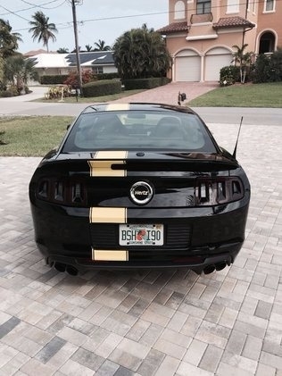 2014 Ford Mustang GT photo