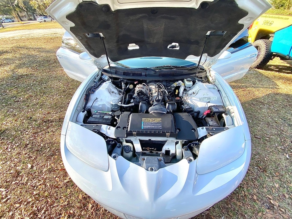 1998 Pontiac Firebird  photo