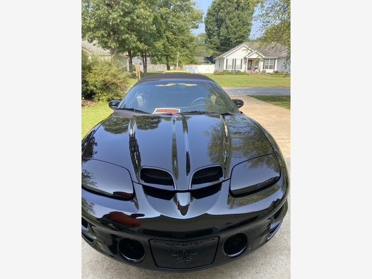 2002 Pontiac Firebird Trans Am photo