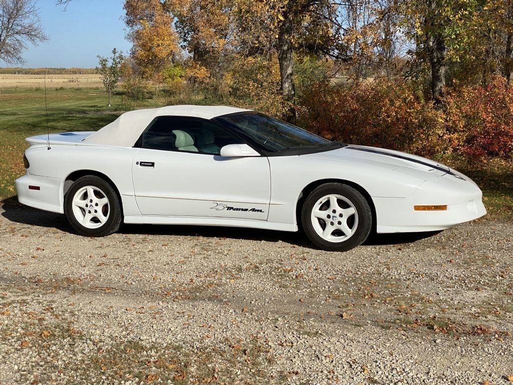 1994 Pontiac Firebird Formula photo