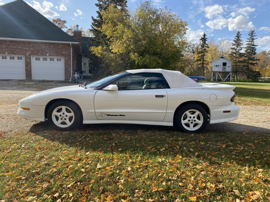 1994 Pontiac Firebird Formula photo