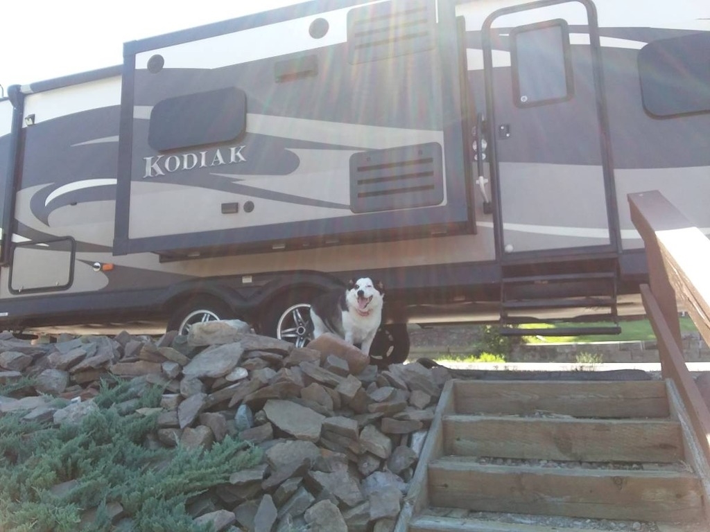 2014 Dutchmen Kodiak 279RBSL