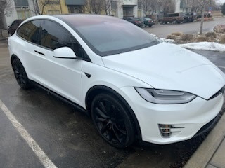 2020 Tesla Model X Performance photo