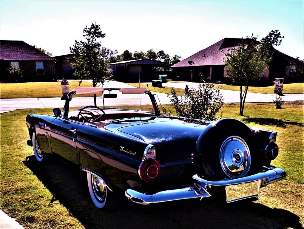 1956 Ford Thunderbird  photo