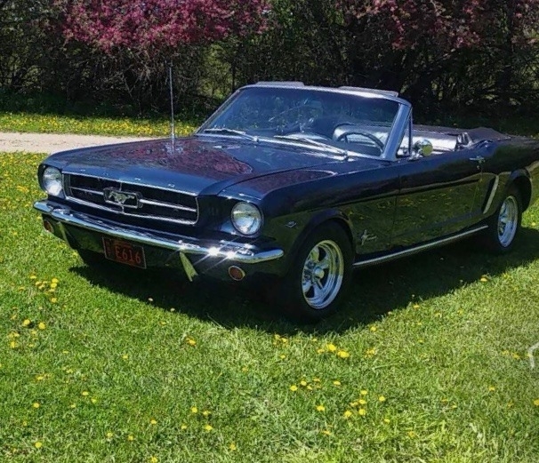 The 1964 Ford Mustang  photos