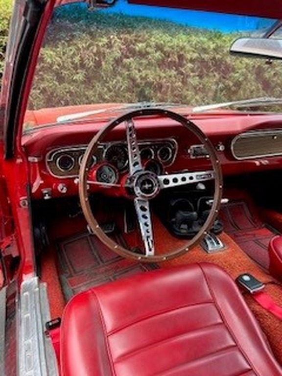 1964 Ford Mustang  photo