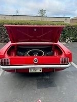 1964 Ford Mustang  photo