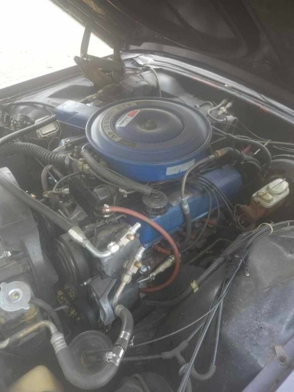 1969 Ford Thunderbird Landau photo