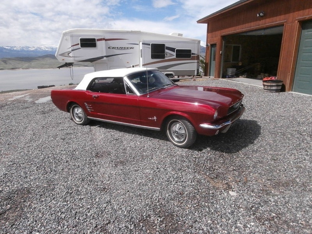 1966 Ford Mustang  photo