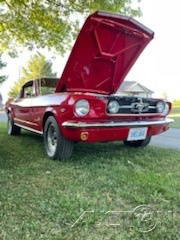 1966 Ford Mustang  photo