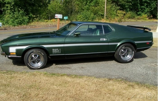 The 1971 Ford Mustang Mach-1 Fastback Mach 1 Fastback photos