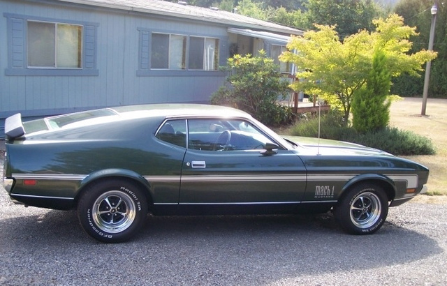 1971 Ford Mustang Mach-1 Fastback Mach 1 Fastback photo