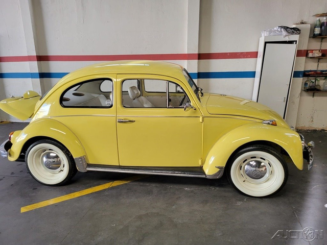 The 1973 Volkswagen Beetle Coupe photos