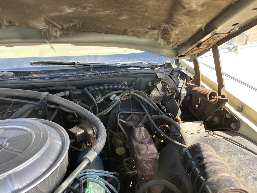1978 Lincoln Continental  photo