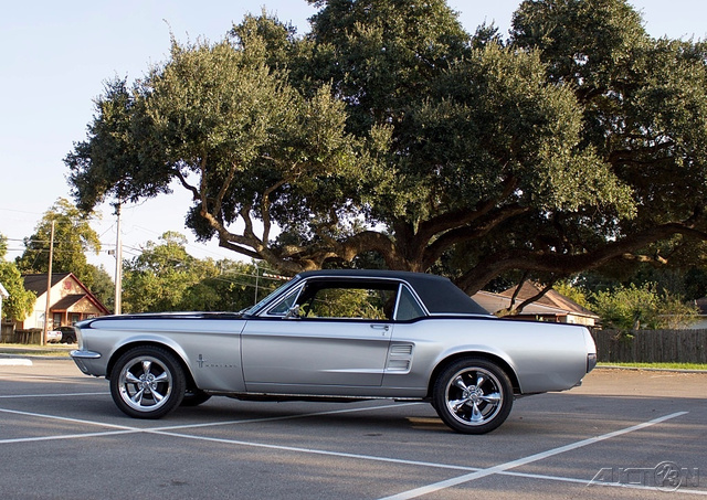 The 1967 Ford Mustang 