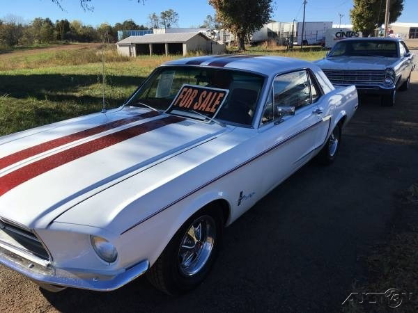 The 1968 Ford Mustang  photos