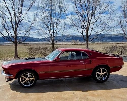 1969 Ford Mustang Mach I Super Cobra Jet photo