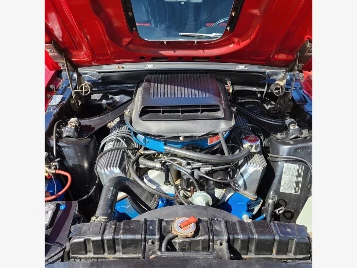 1969 Ford Mustang Mach I Super Cobra Jet photo