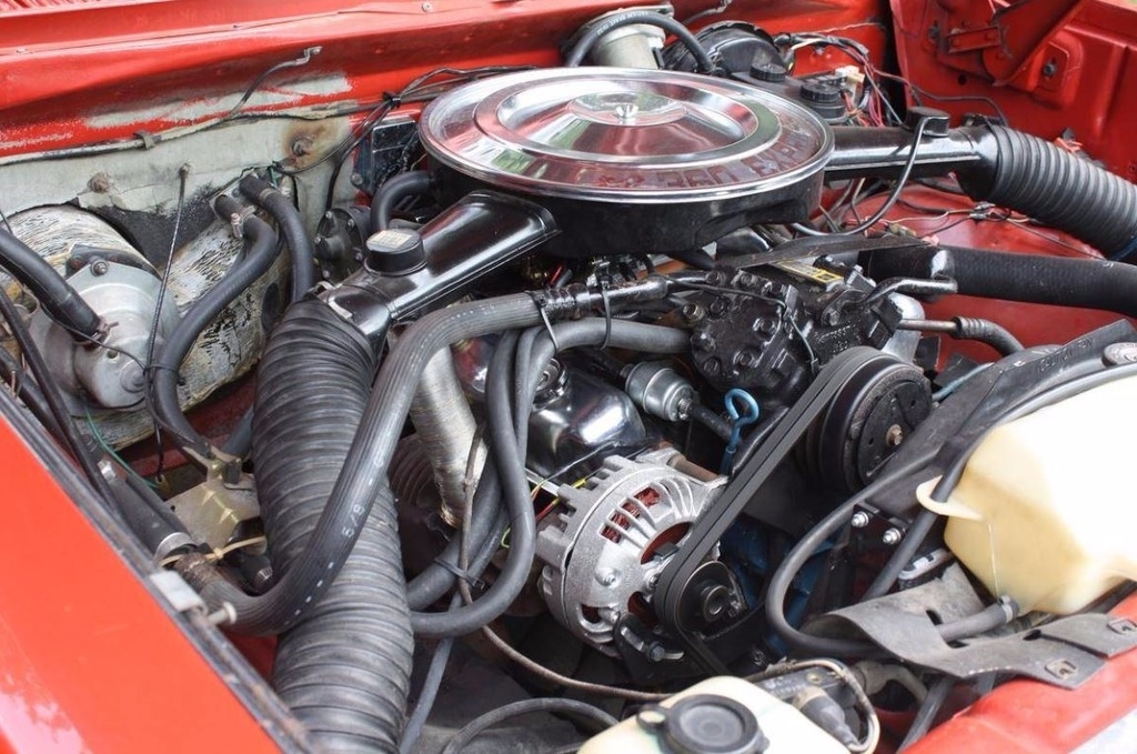 1979 Dodge   photo
