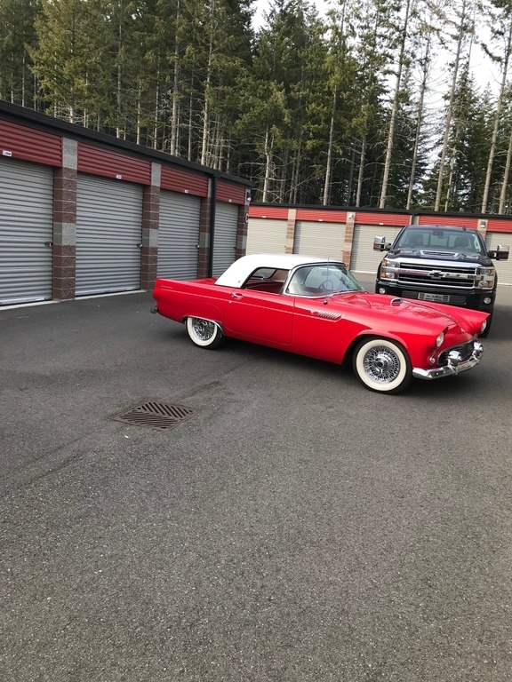 1955 Ford Thunderbird All Original photo