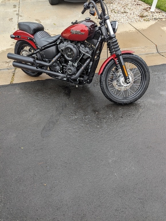 2019 Harley-Davidson® Street Bob FXBB