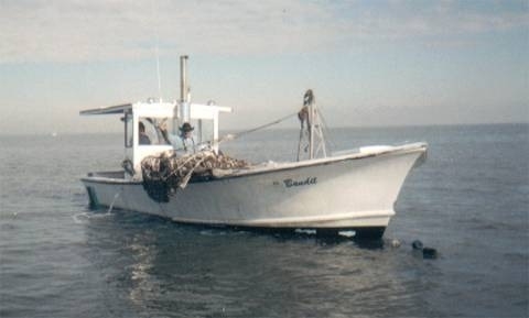1973 Stableton Commercial Shrimp Boat 6CTA 8.3L