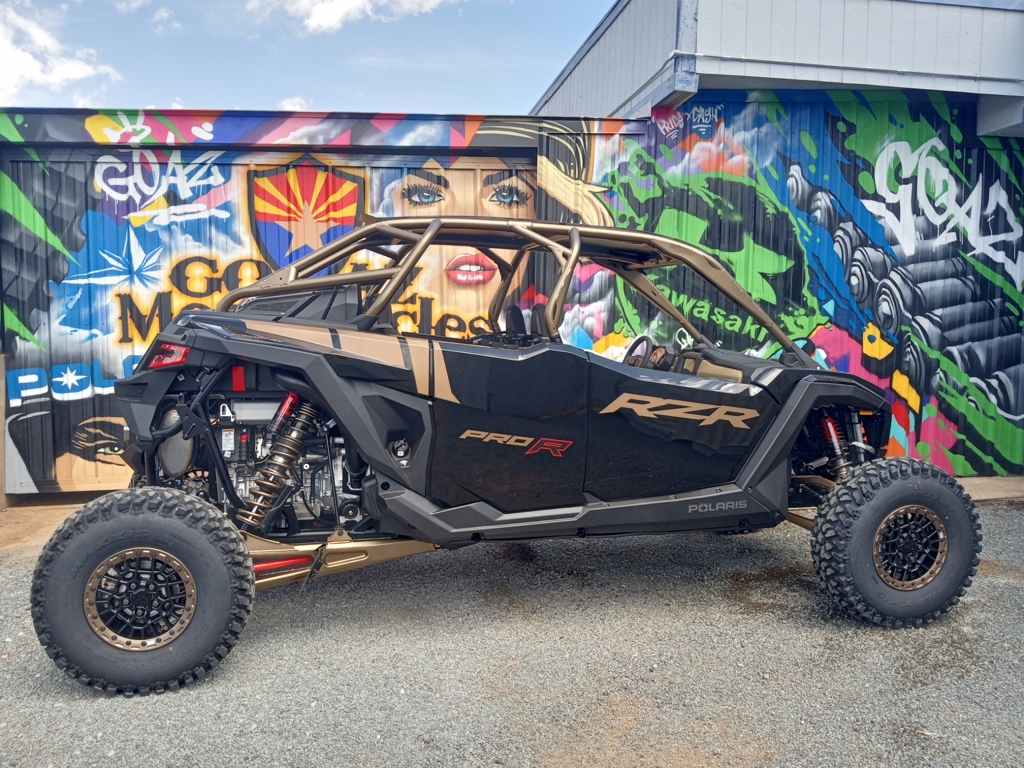 2025 Polaris RZR Pro R 4