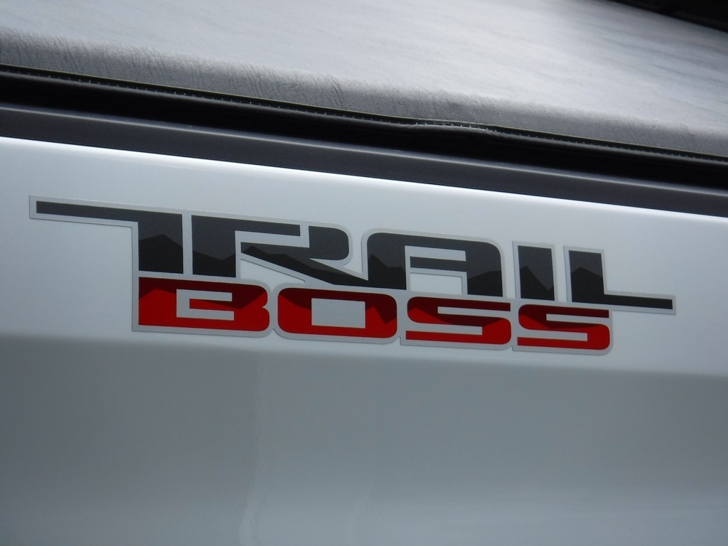 2020 Chevrolet Silverado 1500 image 9