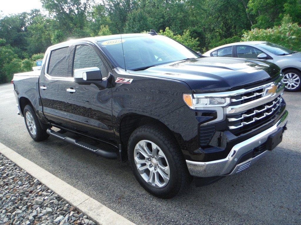 2025 Chevrolet Silverado 1500 image 11