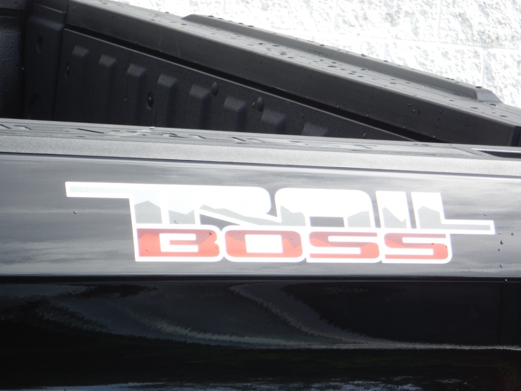 2024 Chevrolet Silverado 1500 image 4