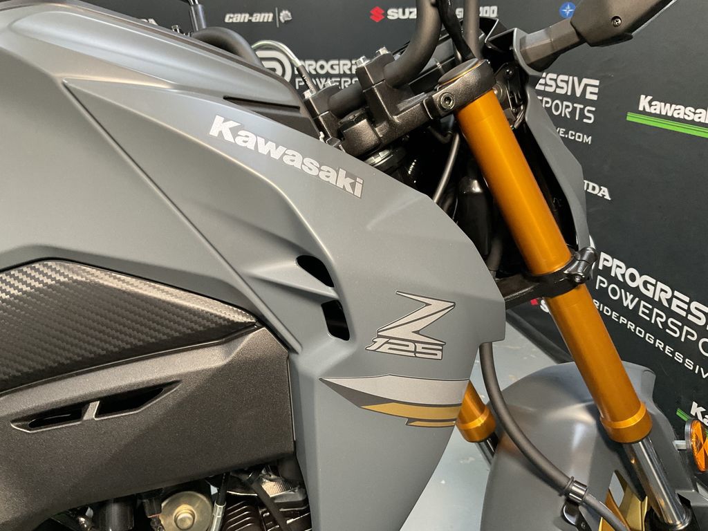 2024 Kawasaki Z125 PRO  15