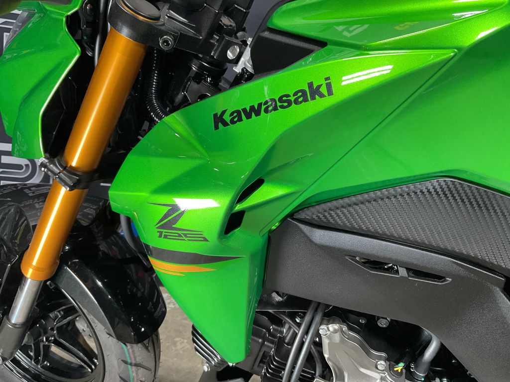 2024 Kawasaki Z125 PRO  15