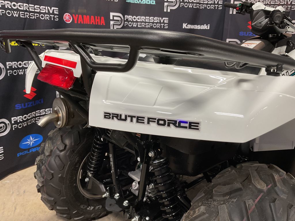 2023 Kawasaki Brute Force 750 4x4i EPS  13