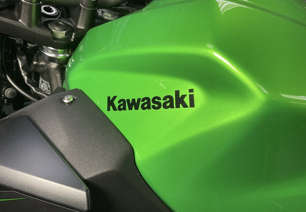 2024 Kawasaki Z500 ABS  9