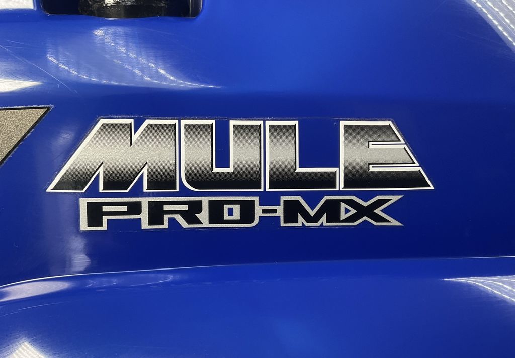 2025 Kawasaki Mule PRO-MX LE  10