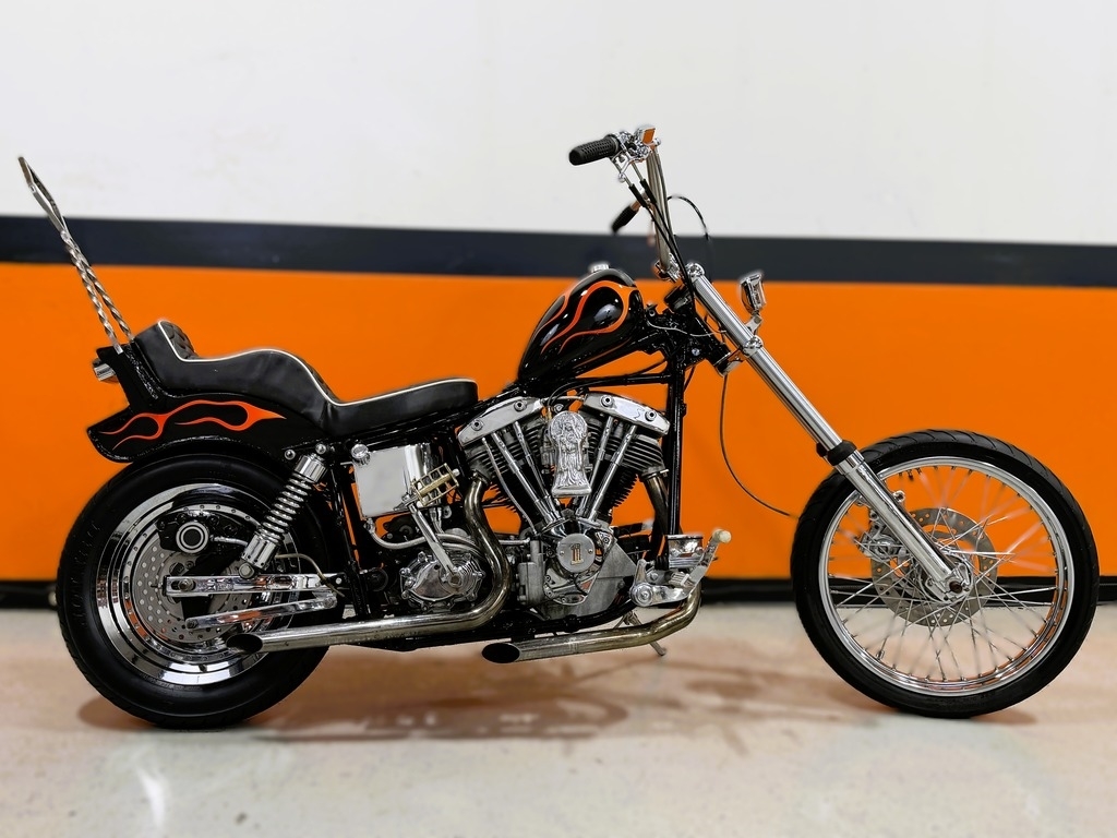 1975 Harley-Davidson Other 1975 Harley-Davidson Shovelhead