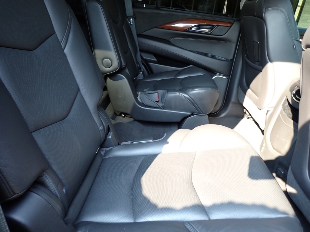 2019 Cadillac Escalade Luxury photo