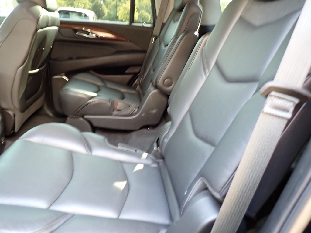 2019 Cadillac Escalade Luxury photo