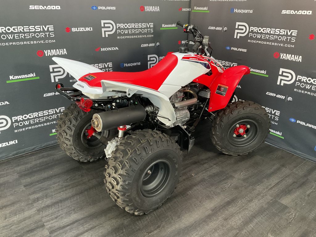 2024 Honda TRX250X  3