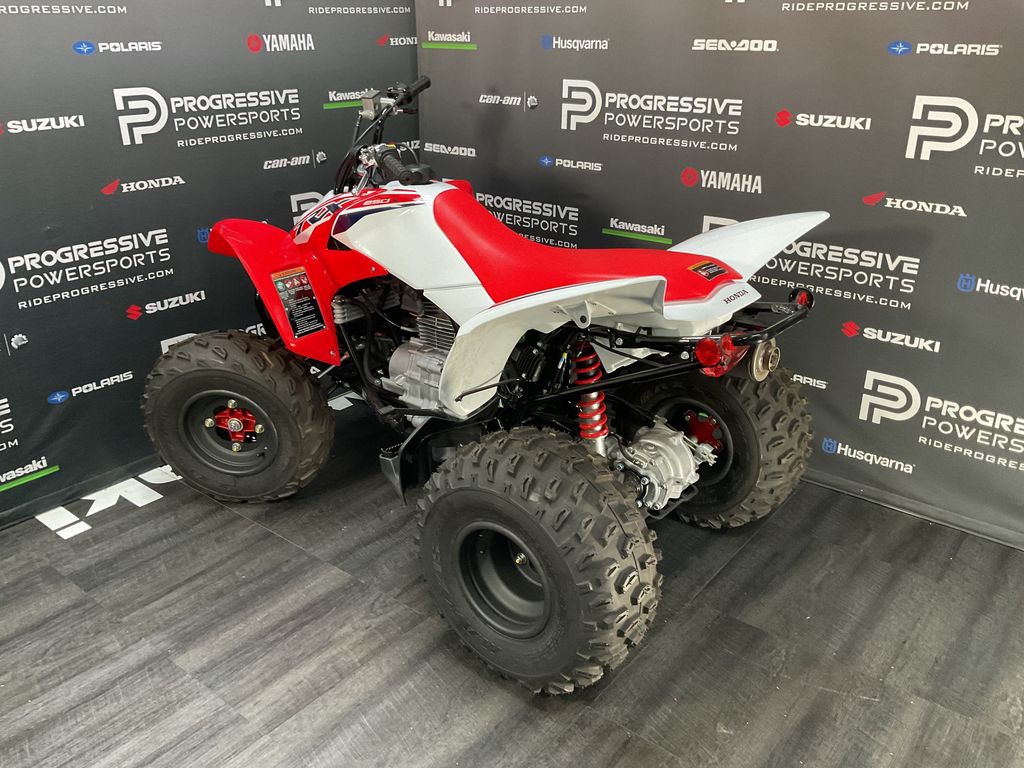 2024 Honda TRX250X  8