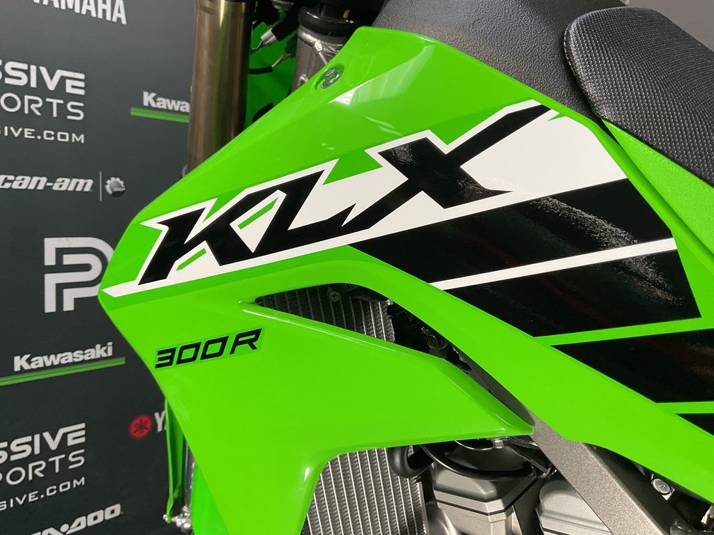 2025 Kawasaki KLX 300R 9