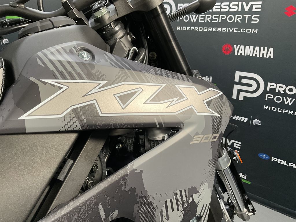 2024 Kawasaki KLX300  5