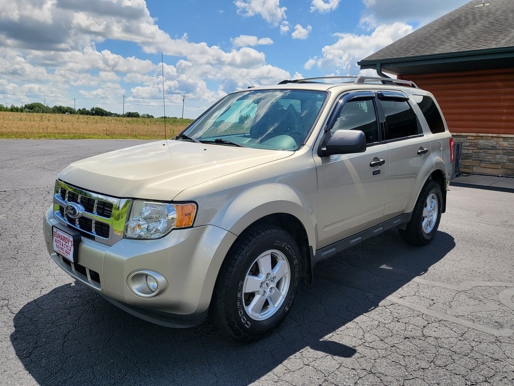 2010 Ford Escape XLT SUV