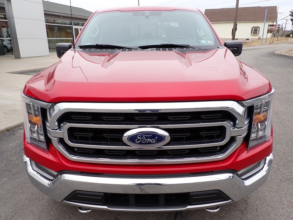 2021 Ford F-150  photo