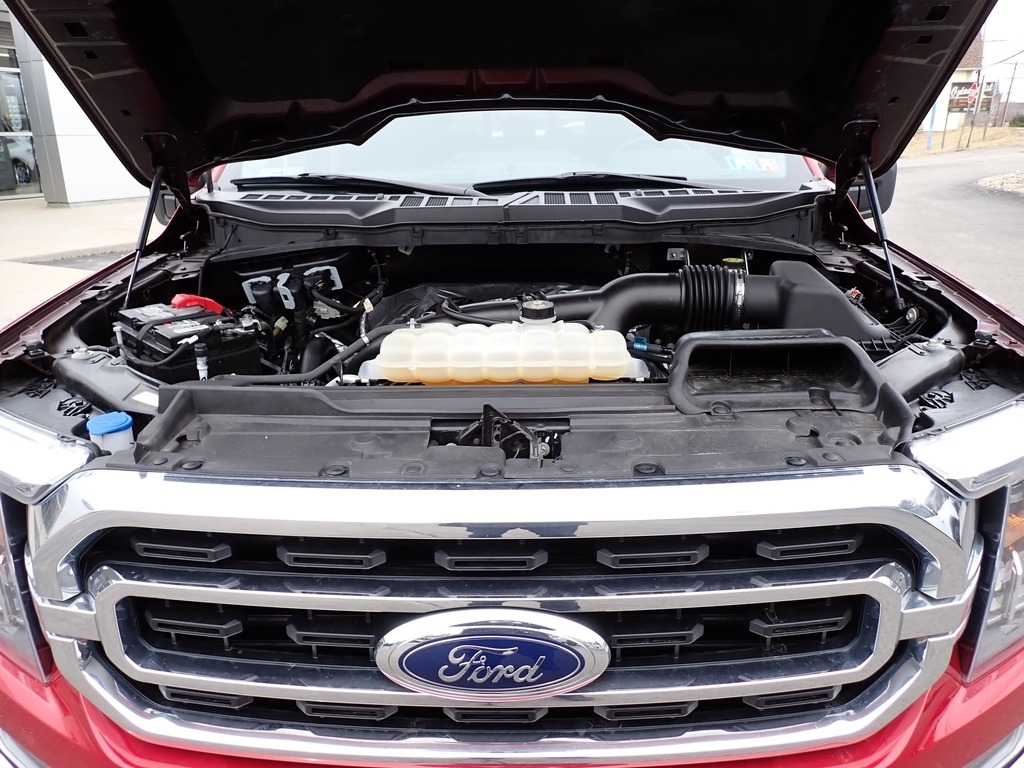 2021 Ford F-150  photo